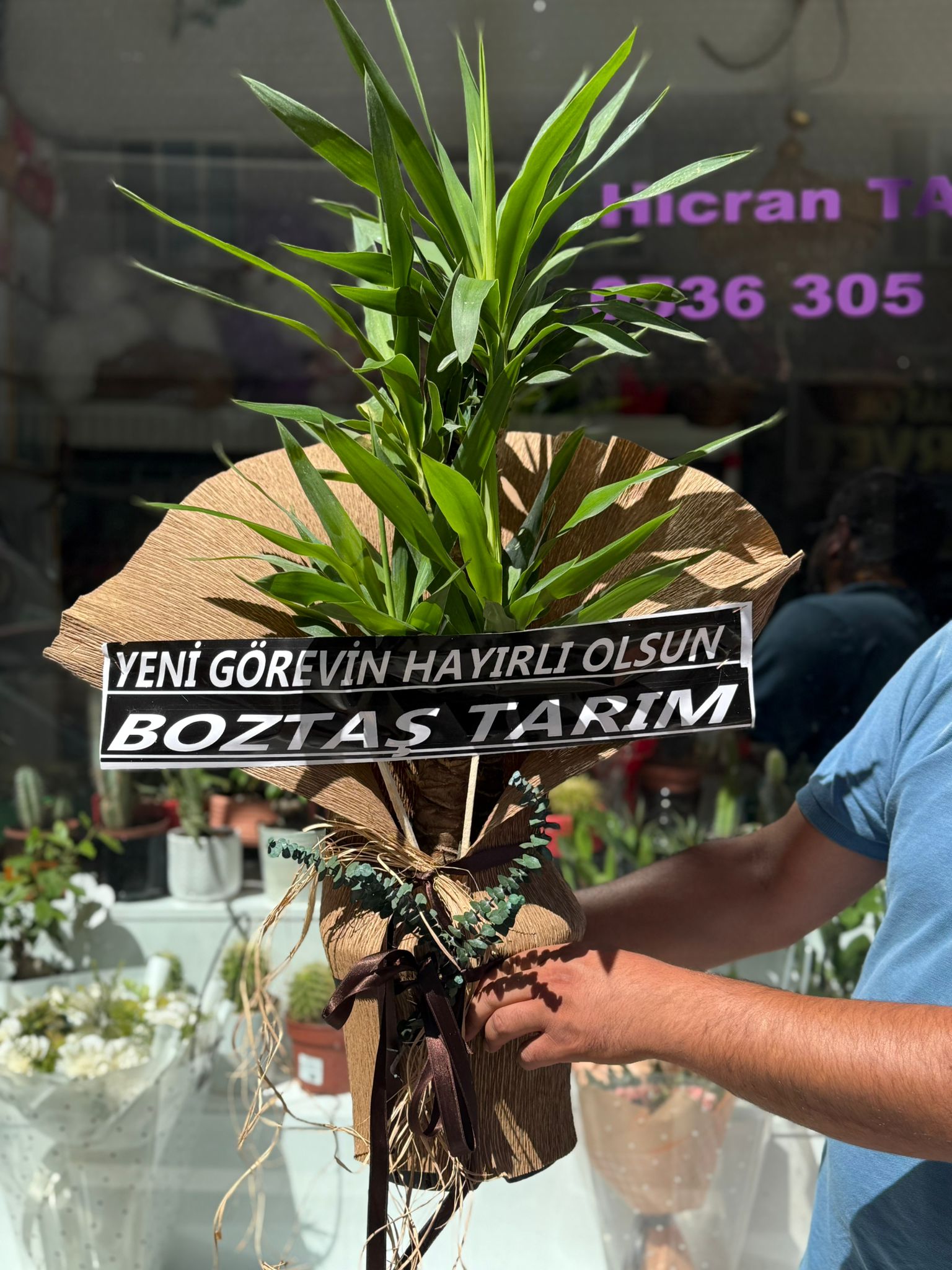 Åžah Organizasyon